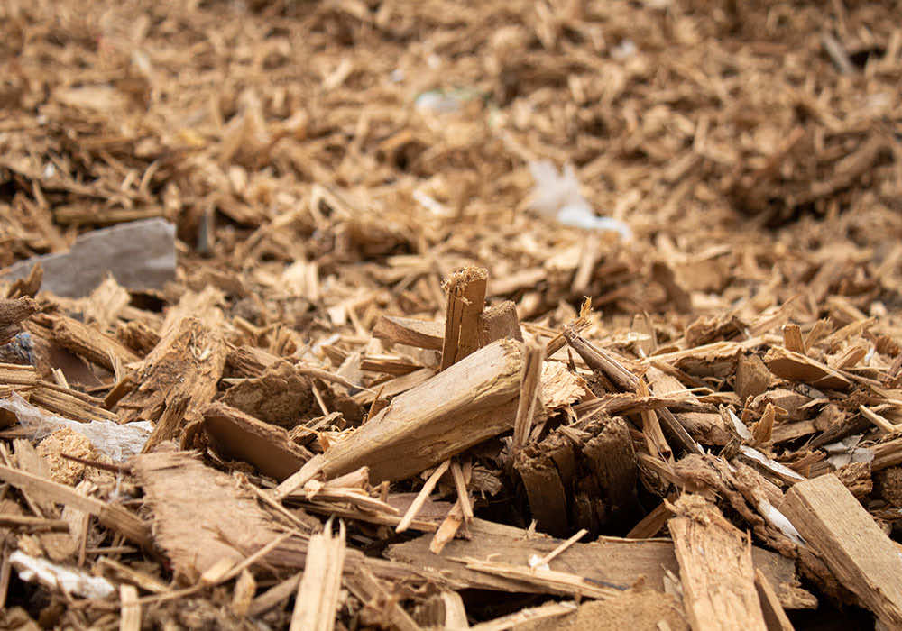 Wood chips